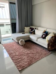 Shiro (D15), Apartment #518807531